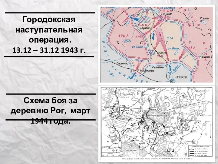 Схема боя за деревню Рог, март 1944 года. Городокская наступательная операция. 13.12 – 31.12 1943 г.