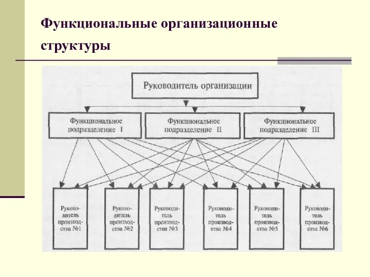 Функциональные организационные структуры