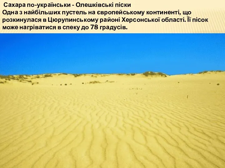 Сахара по-українськи - Олешківські піски Одна з найбільших пустель на