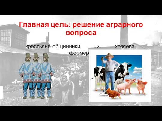 Главная цель: решение аграрного вопроса крестьяне-общинники => хозяева-фермеры