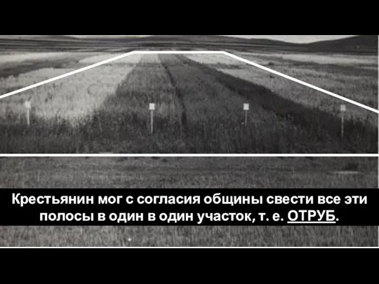 Крестьянин мог с согласия общины свести все эти полосы в