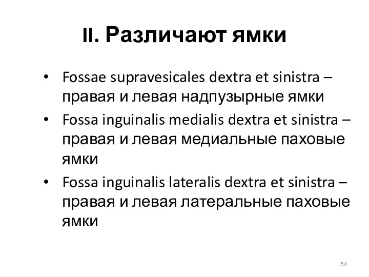 II. Различают ямки Fossae supravesicales dextra et sinistra – правая и левая надпузырные