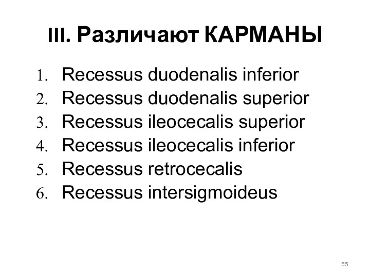 III. Различают КАРМАНЫ Recessus duodenalis inferior Recessus duodenalis superior Recessus ileocecalis superior Recessus