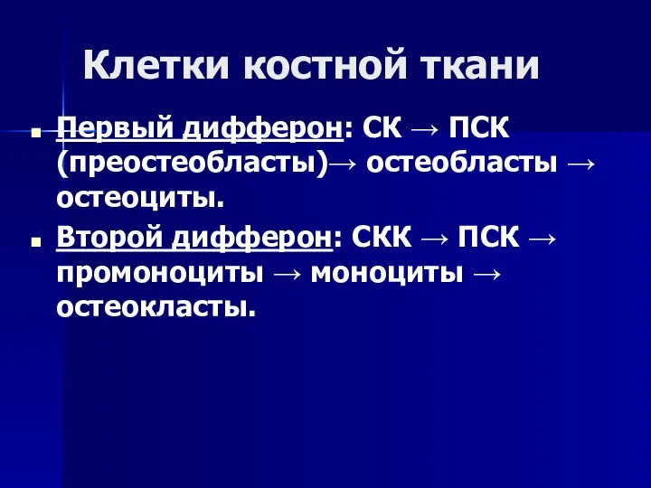 Клетки костной ткани Первый дифферон: СК → ПСК (преостеобласты)→ остеобласты