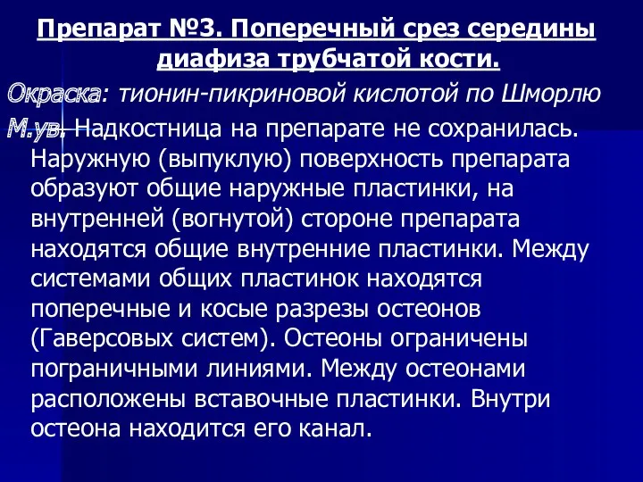 Препарат №3. Поперечный срез середины диафиза трубчатой кости. Окраска: тионин-пикриновой