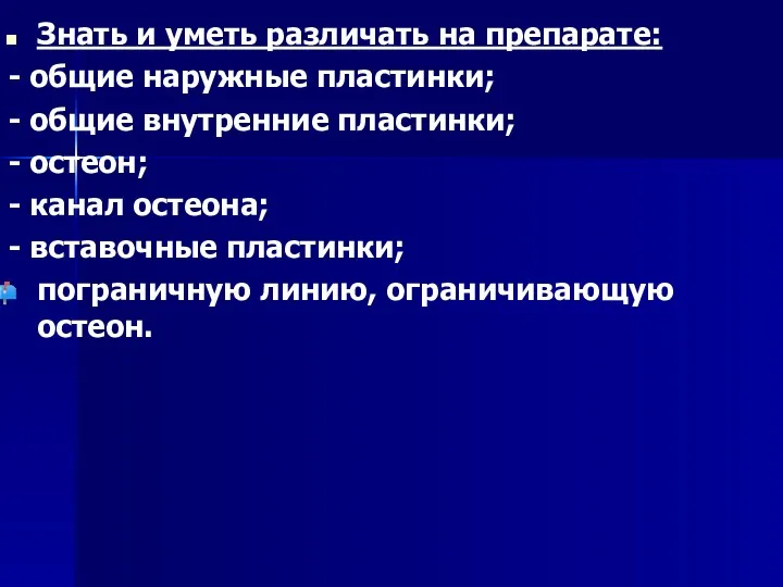 Знать и уметь различать на препарате: - общие наружные пластинки;