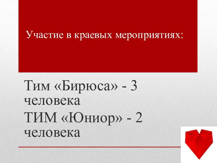 Участие в краевых мероприятиях: Тим «Бирюса» - 3 человека ТИМ «Юниор» - 2 человека