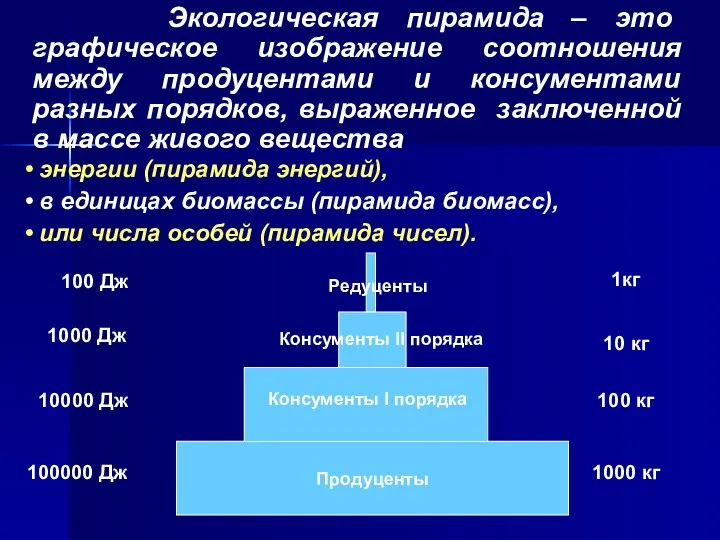 Экологическая пирамида – это графическое изображение соотношения между продуцентами и