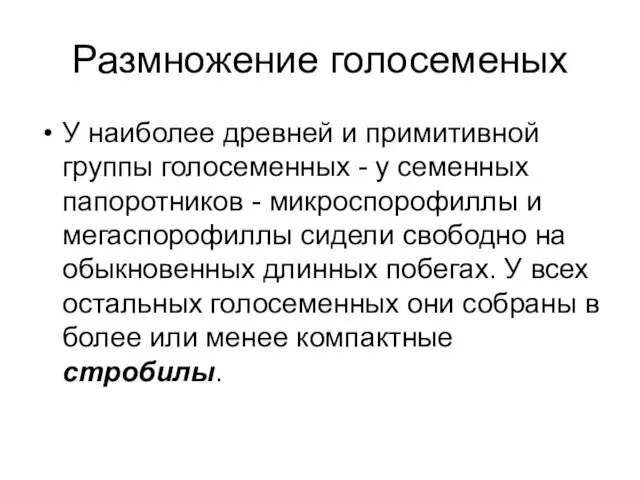 Размножение голосеменых У наиболее древней и примитивной группы голосеменных -