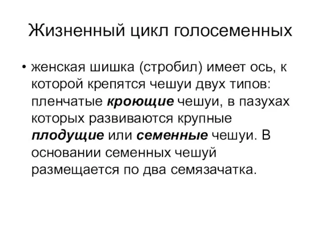 Жизненный цикл голосеменных женская шишка (стробил) имеет ось, к которой