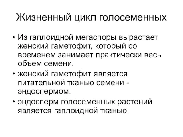 Жизненный цикл голосеменных Из гаплоидной мегаспоры вырастает женский гаметофит, который