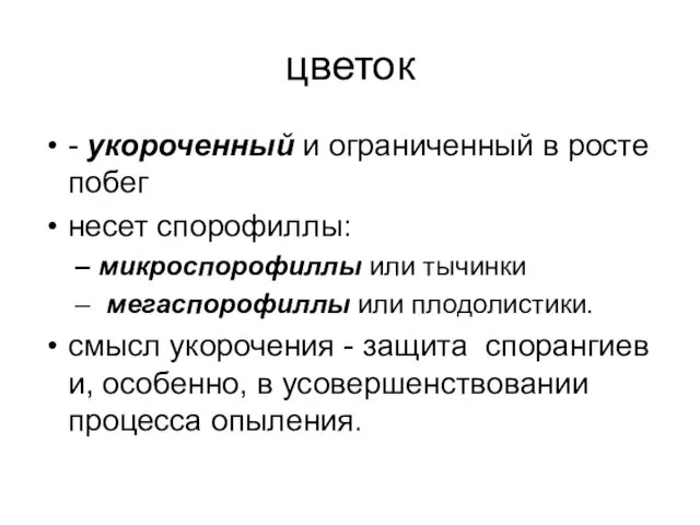 цветок - укороченный и ограниченный в росте побег несет спорофиллы: