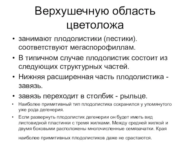 Верхушечную область цветоложа занимают плодолистики (пестики). соответствуют мегаспорофиллам. В типичном