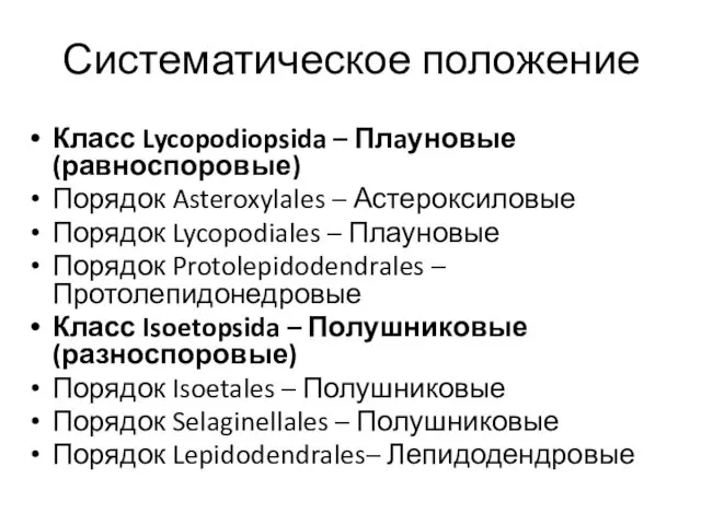 Систематическое положение Класс Lycopodiopsida – Плaуновые (равноспоровые) Порядок Asteroxylales –