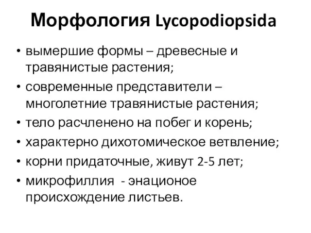 Морфология Lycopodiopsida вымершие формы – древесные и травянистые растения; современные