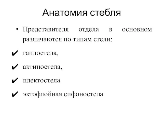 Анатомия стебля Представителя отдела в основном различаются по типам стели: гаплостела, актиностела, плектостела эктофлойная сифоностела