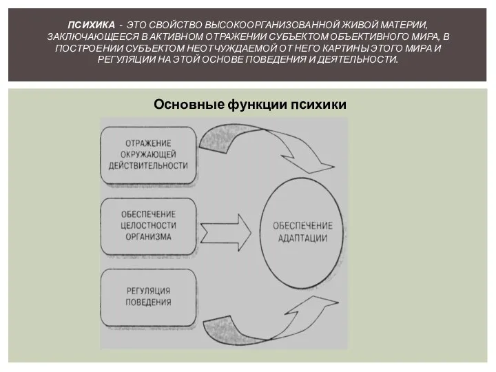 Основные функции психики ПСИХИКА - ЭТО СВОЙСТВО ВЫСОКООРГАНИЗОВАННОЙ ЖИВОЙ МАТЕРИИ,