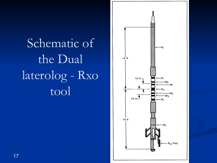 Schematic of the Dual laterolog - Rxo tool