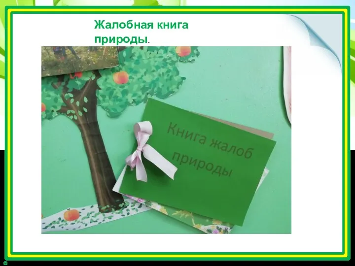 Жалобная книга природы.