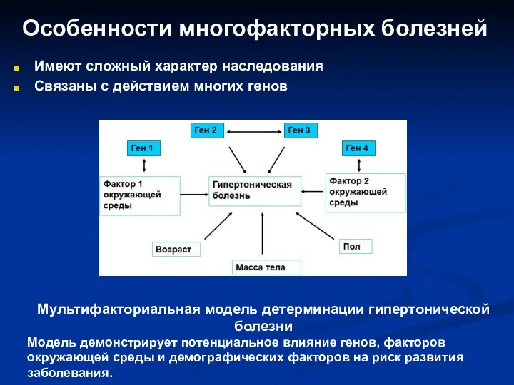 Особенности многофакторных болезней Имеют сложный характер наследования Связаны с действием