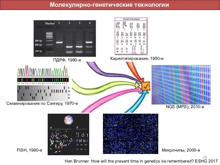 Молекулярно-генетические технологии Кариотипирование, 1950-е ПДРФ, 1980-е Секвенирование по Сэнгеру, 1970-е