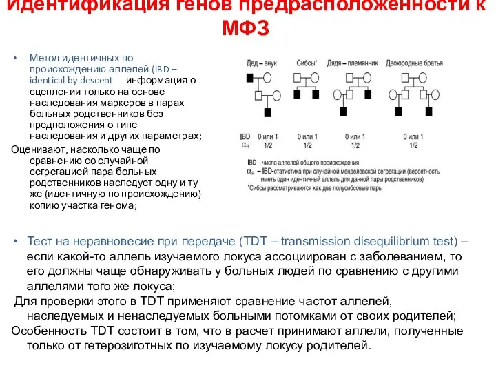 Идентификация генов предрасположенности к МФЗ Метод идентичных по происхождению аллелей