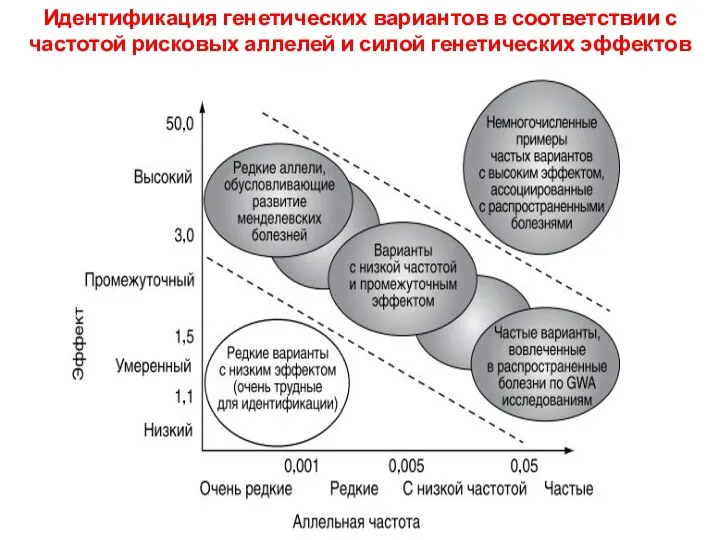 Идентификация генетических вариантов в соответствии с частотой рисковых аллелей и