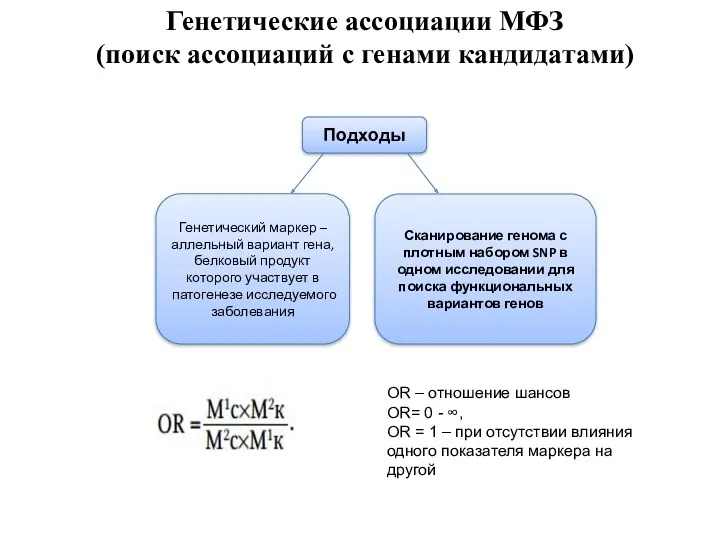 Генетические ассоциации МФЗ (поиск ассоциаций с генами кандидатами) OR –