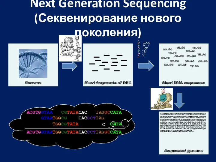 Next Generation Sequencing (Секвенирование нового поколения) Short fragments of DNA Genome