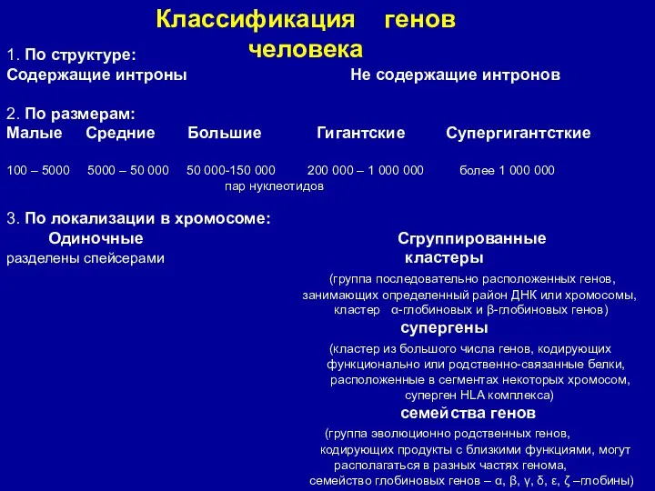 Классификация генов человека 1. По структуре: Содержащие интроны Не содержащие