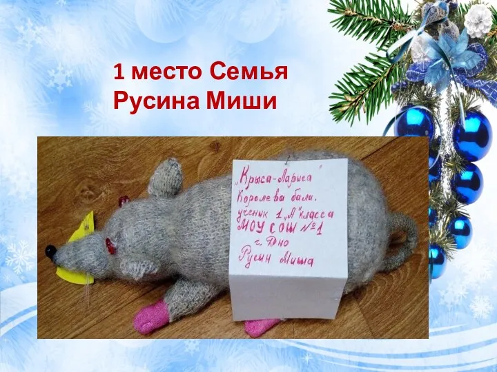 1 место Семья Русина Миши