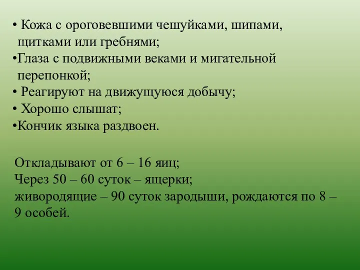 Кожа с ороговевшими чешуйками, шипами, щитками или гребнями; Глаза с