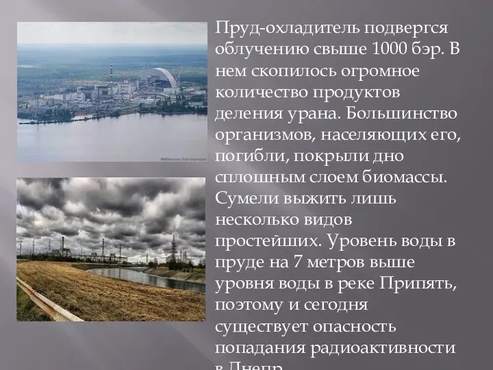 Пруд-охладитель подвергся облучению свыше 1000 бэр. В нем скопилось огромное