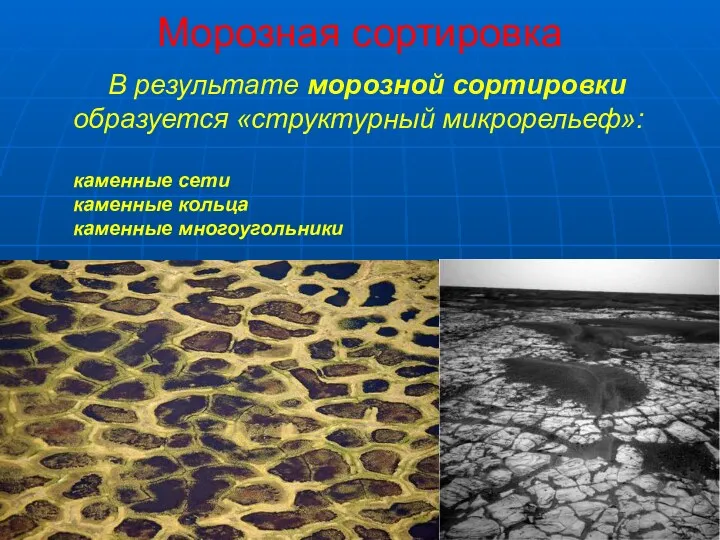 Морозная сортировка В результате морозной сортировки образуется «структурный микрорельеф»: каменные сети каменные кольца каменные многоугольники