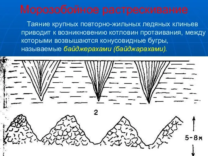 Морозобойное растрескивание Таяние крупных повторно-жильных ледяных клиньев приводит к возникновению