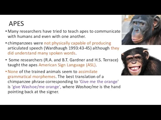 APES Many researchers have tried to teach apes to communicate with humans and