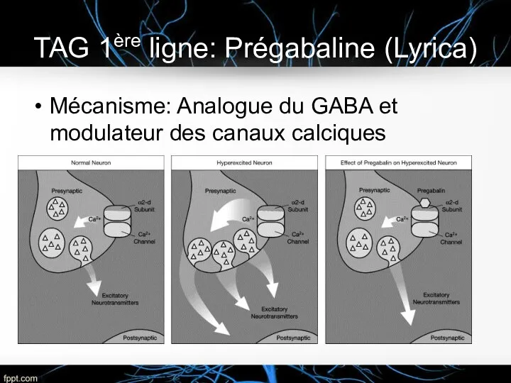 TAG 1ère ligne: Prégabaline (Lyrica) Mécanisme: Analogue du GABA et modulateur des canaux calciques