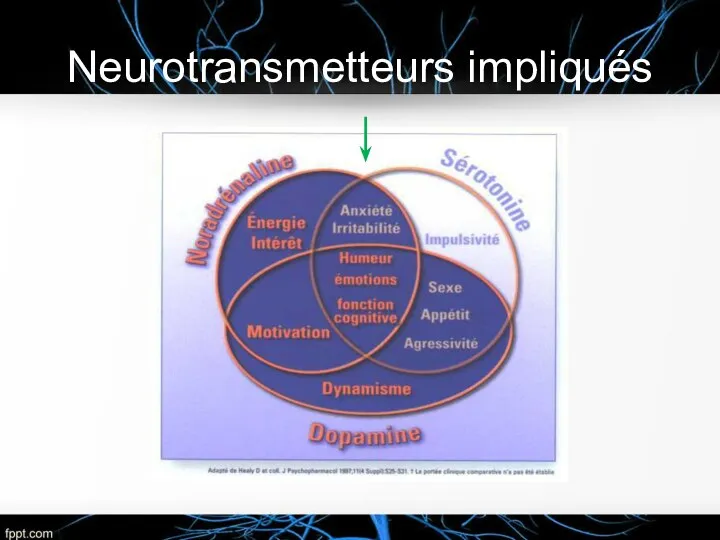 Neurotransmetteurs impliqués