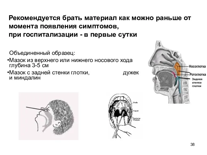 Рекомендуется брать материал как можно раньше от момента появления симптомов,