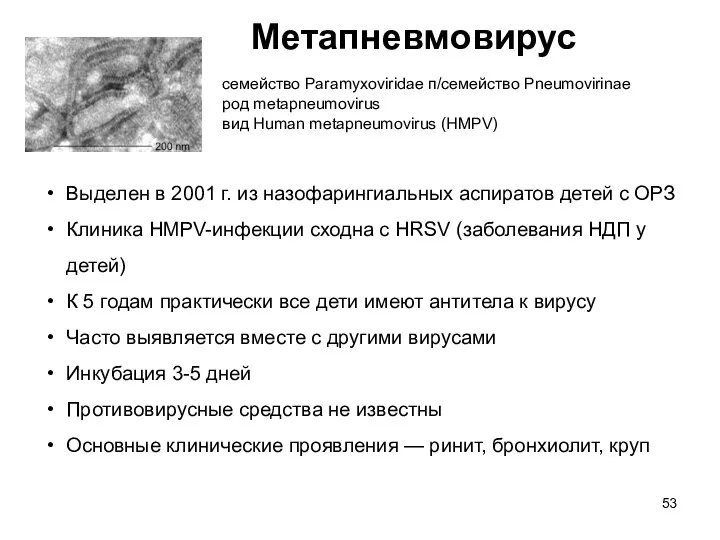 Метапневмовирус семейство Paramyxoviridae п/семейство Pneumovirinae род metapneumovirus вид Human metapneumovirus