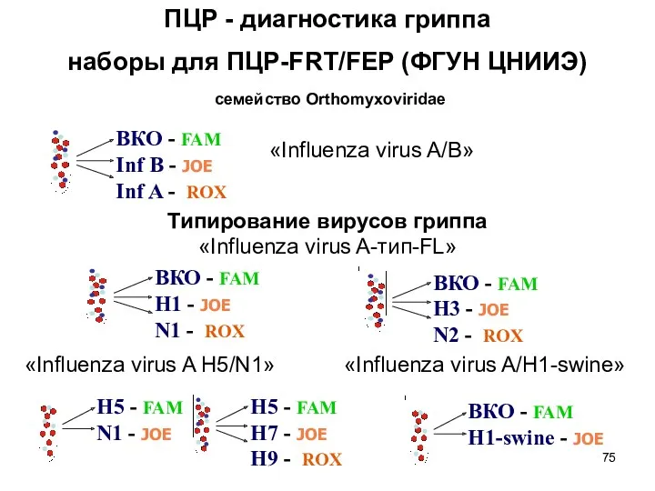 ПЦР - диагностика гриппа наборы для ПЦР-FRT/FEP (ФГУН ЦНИИЭ) «Influenza