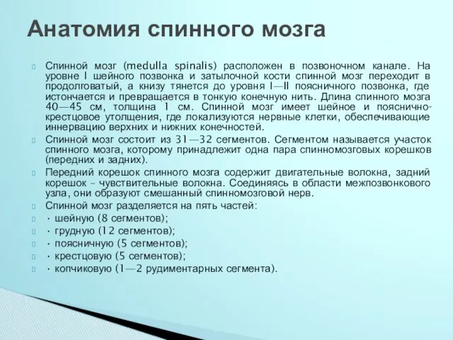 Спинной мозг (medulla spinalis) расположен в позвоночном канале. На уровне I шейного позвонка