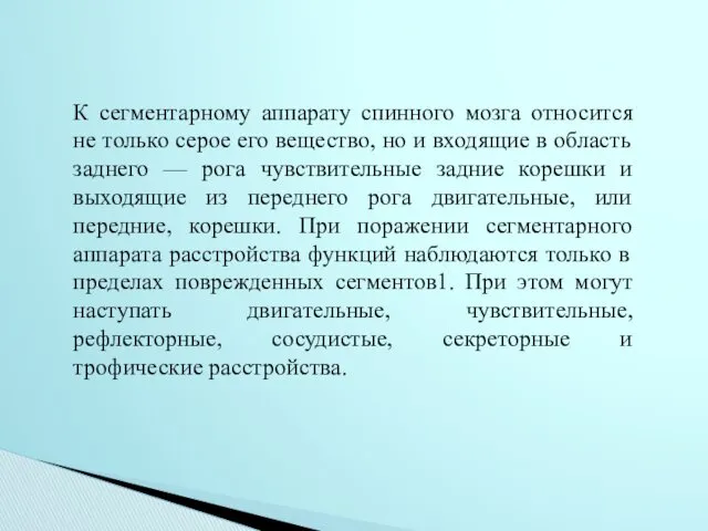 К сегментарному аппарату спинного мозга относится не только серое его вещество, но и