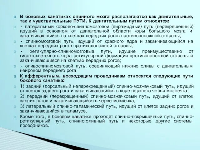 В боковых канатиках спинного мозга располагаются как двигательные, так и чувствительные ПУТИ. К