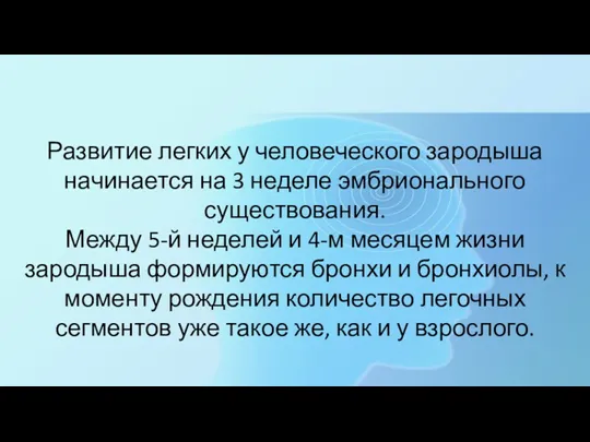 Развитие легких у человеческого зародыша начинается на 3 неделе эмбрионального