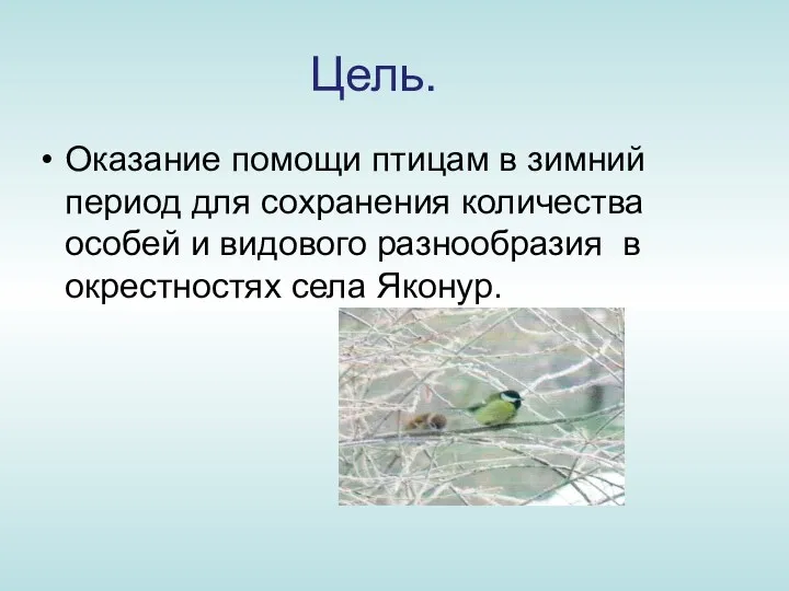 Цель. Оказание помощи птицам в зимний период для сохранения количества