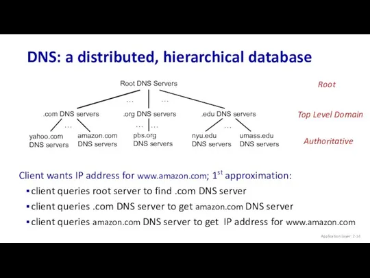 DNS: a distributed, hierarchical database Application Layer: 2- … … Client wants IP