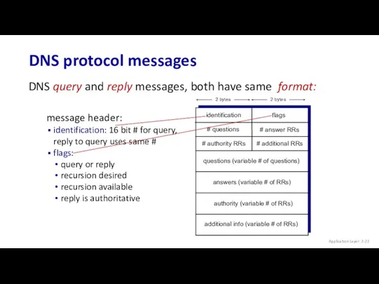 DNS protocol messages Application Layer: 2- DNS query and reply messages, both have