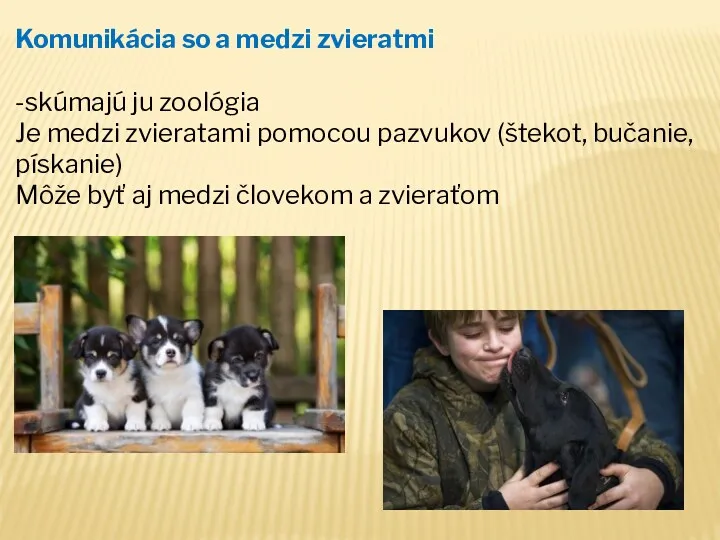 Komunikácia so a medzi zvieratmi -skúmajú ju zoológia Je medzi