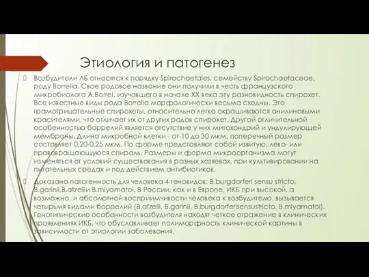 Этиология и патогенез Возбудители ЛБ относятся к порядку Spirochaetales, семейству